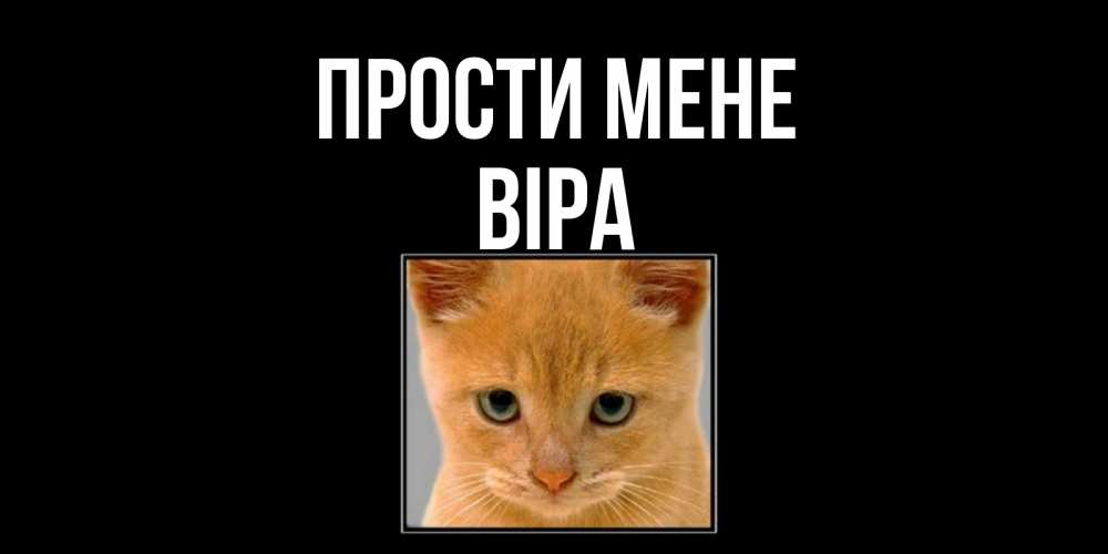 Открытка на каждый день з підписом, Віра Прости мене рыжий грустный кот просит прощения Прикольна листівка з побажанням онлайн скачати безкоштовно 