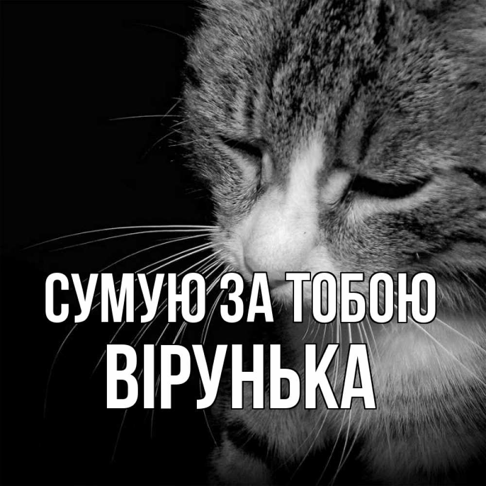 Открытка на каждый день з підписом, Вірунька Сумую за тобою мне скучно Прикольна листівка з побажанням онлайн скачати безкоштовно 