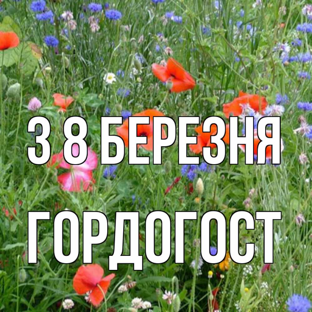 Открытка на каждый день з підписом, Гордогост З 8 БЕРЕЗНЯ международный женский день 4 Прикольна листівка з побажанням онлайн скачати безкоштовно 