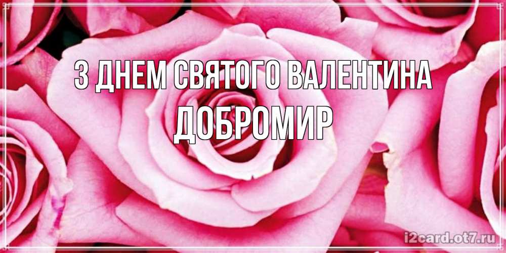 Открытка на каждый день з підписом, Добромир З Днем Святого Валентина роза розовая на день Святого Валентина Прикольна листівка з побажанням онлайн скачати безкоштовно 