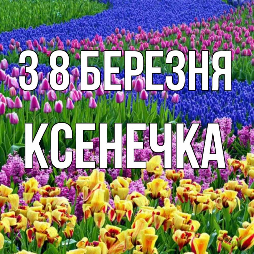 Открытка на каждый день з підписом, Ксенечка З 8 БЕРЕЗНЯ цветы Прикольна листівка з побажанням онлайн скачати безкоштовно 