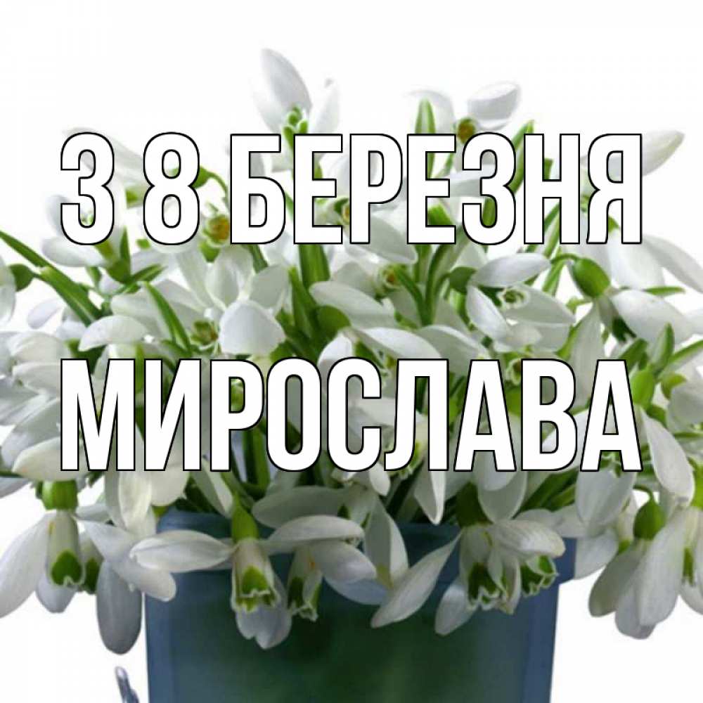 Открытка на каждый день з підписом, Мирослава З 8 БЕРЕЗНЯ цветы к международному женскому дню Прикольна листівка з побажанням онлайн скачати безкоштовно 