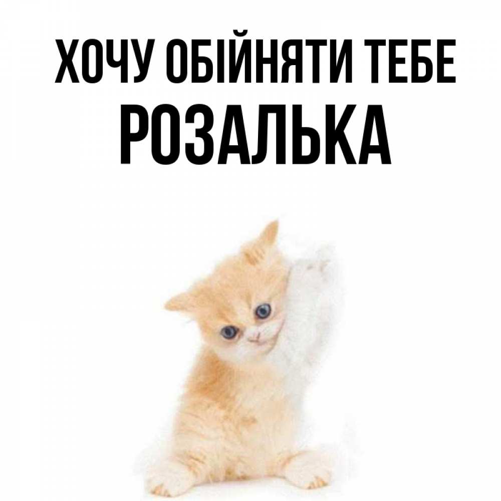 Открытка на каждый день з підписом, Розалька Хочу обійняти тебе я хочу очень скорее обнимаешек Прикольна листівка з побажанням онлайн скачати безкоштовно 