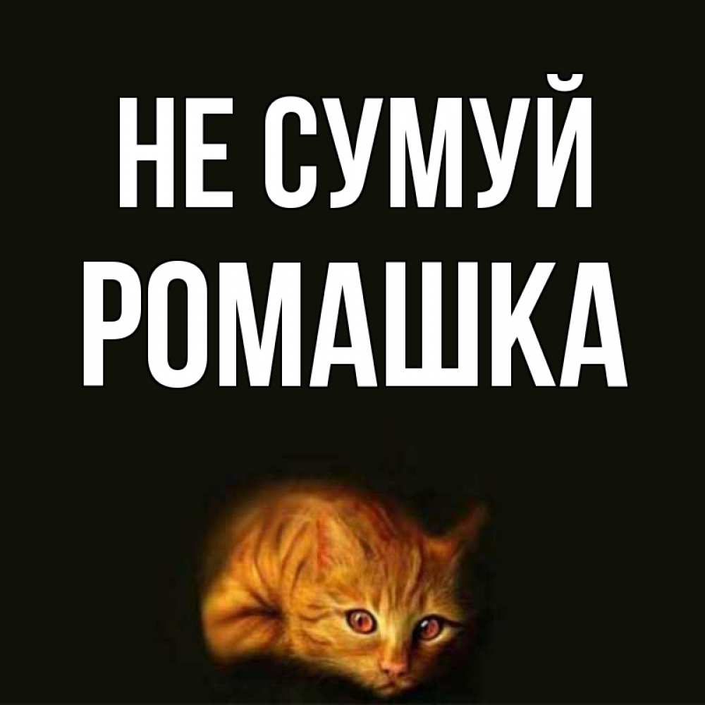Открытка на каждый день з підписом, Ромашка Не сумуй лежащий кот в темноте Прикольна листівка з побажанням онлайн скачати безкоштовно 