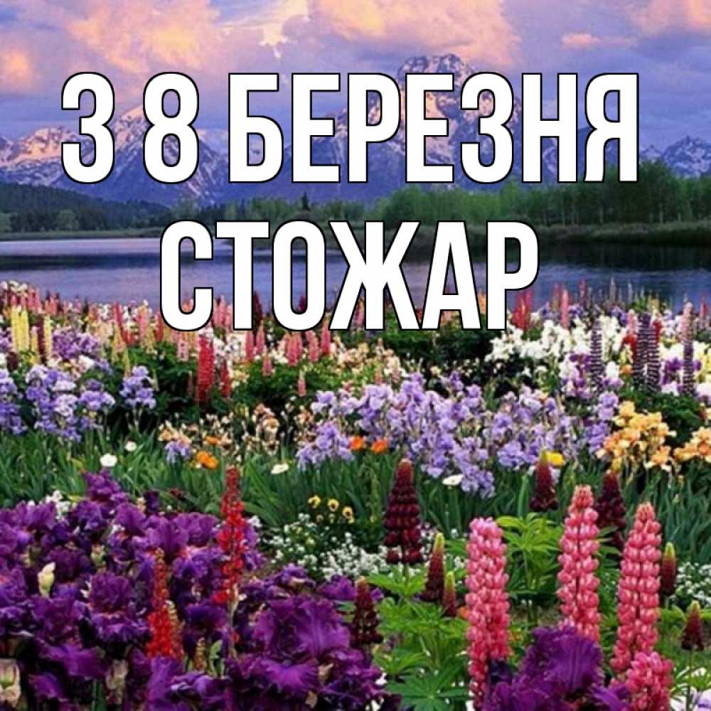 Открытка на каждый день з підписом, Стожар З 8 БЕРЕЗНЯ международный женский день Прикольна листівка з побажанням онлайн скачати безкоштовно 