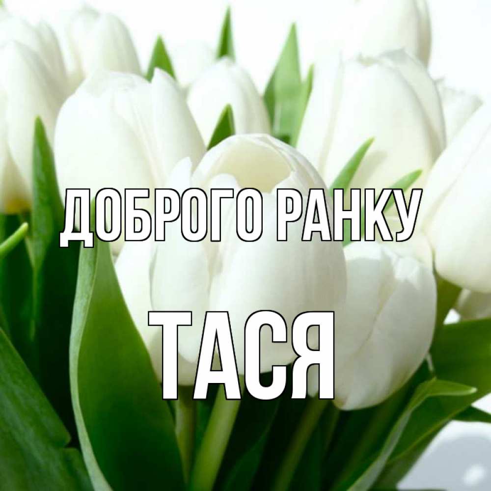 Открытка на каждый день з підписом, Тася Доброго ранку открытки на каждый день по именам Прикольна листівка з побажанням онлайн скачати безкоштовно 