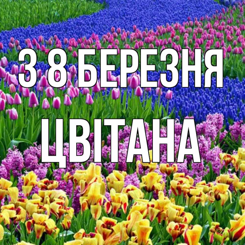 Открытка на каждый день з підписом, Цвітана З 8 БЕРЕЗНЯ цветы Прикольна листівка з побажанням онлайн скачати безкоштовно 
