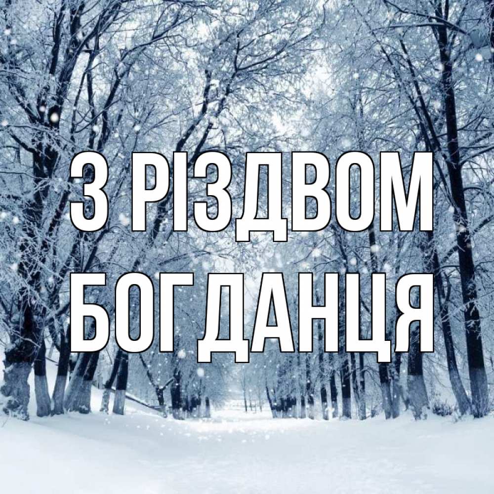 Открытка на каждый день з підписом, Богданця З Різдвом снег, лес, парк Прикольна листівка з побажанням онлайн скачати безкоштовно 