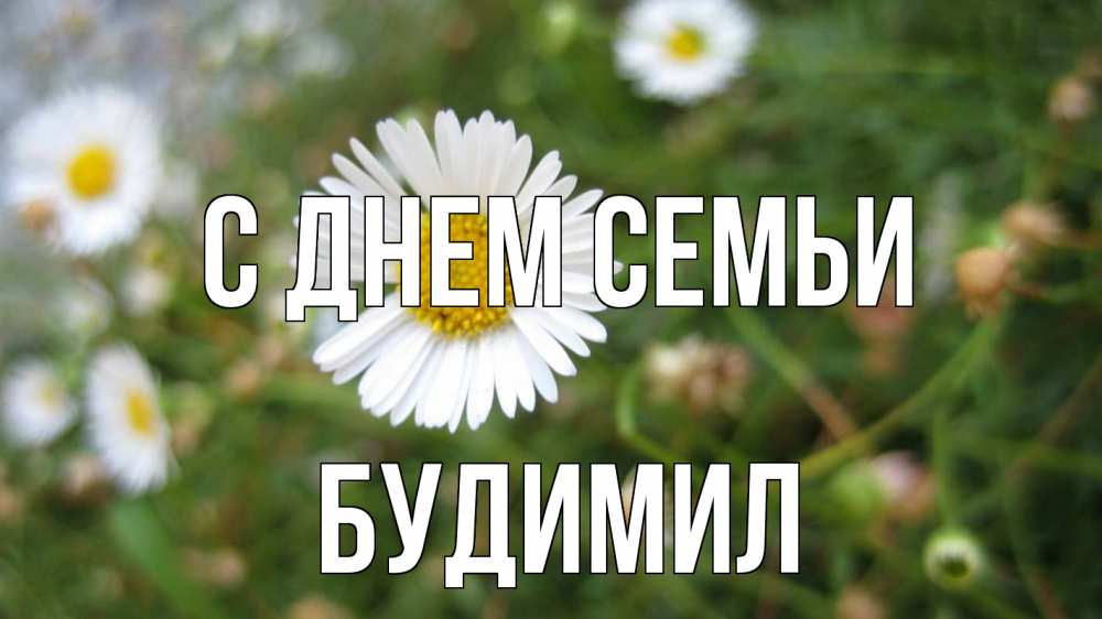 Открытка на каждый день з підписом, Будимил С днем семьи с днем семьи Прикольна листівка з побажанням онлайн скачати безкоштовно 