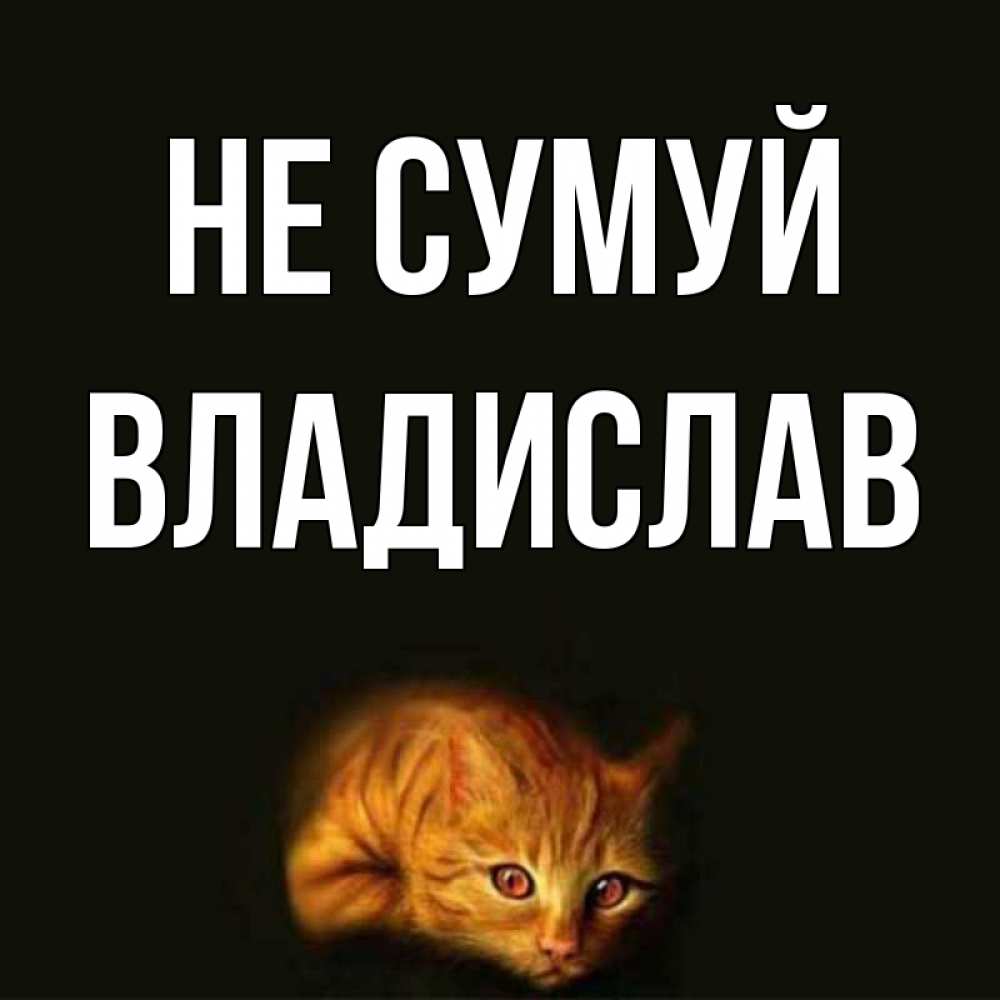 Открытка на каждый день з підписом, Владислав Не сумуй лежащий кот в темноте Прикольна листівка з побажанням онлайн скачати безкоштовно 