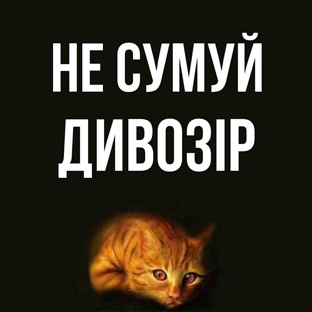 Открытка на каждый день з підписом, Дивозір Не сумуй лежащий кот в темноте Прикольна листівка з побажанням онлайн скачати безкоштовно 