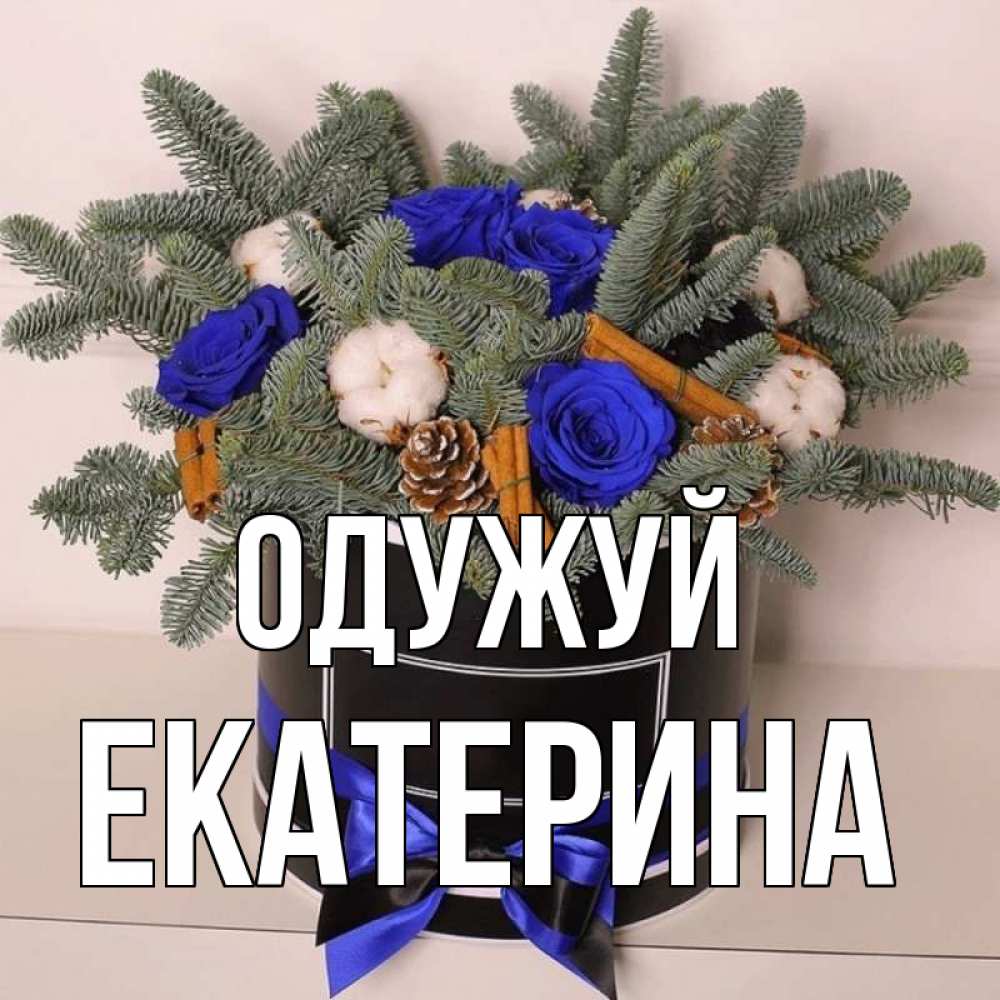 Открытка на каждый день з підписом, Екатерина Одужуй короче кто то загрузил эти шишки Прикольна листівка з побажанням онлайн скачати безкоштовно 