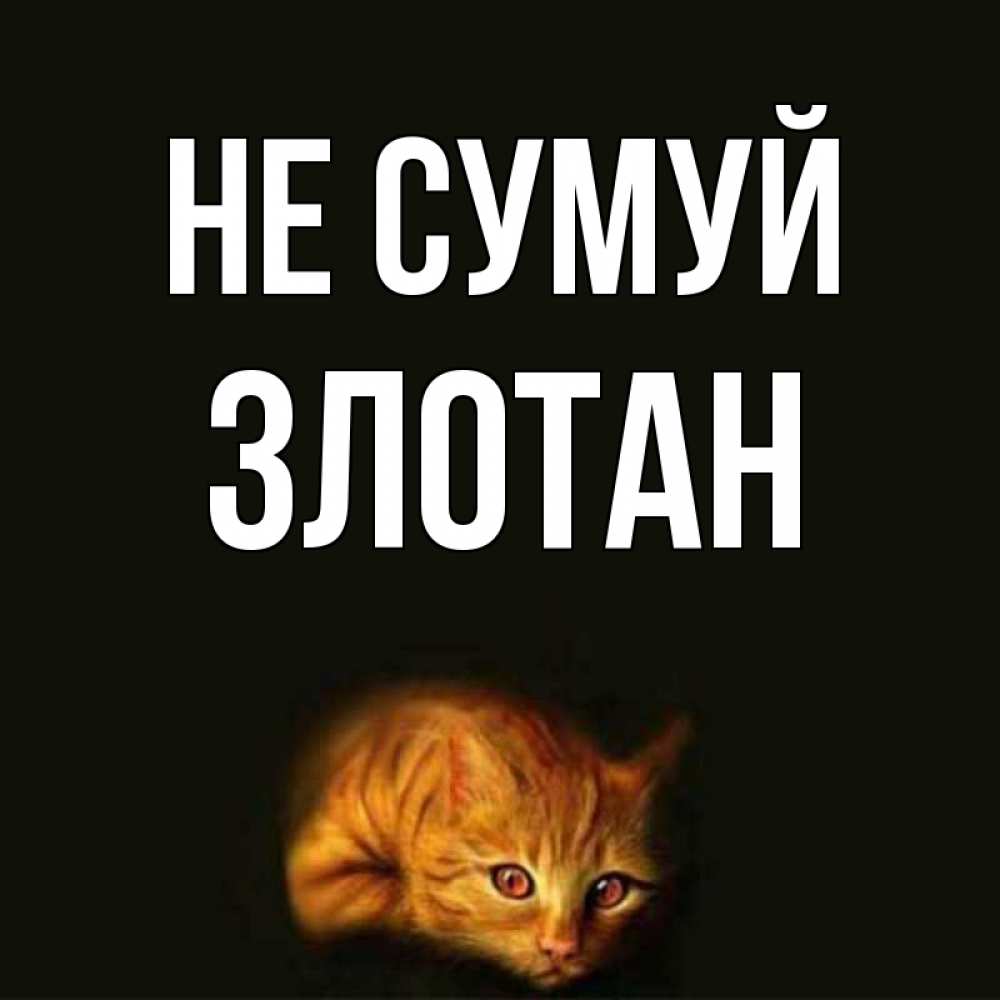 Открытка на каждый день з підписом, Злотан Не сумуй лежащий кот в темноте Прикольна листівка з побажанням онлайн скачати безкоштовно 