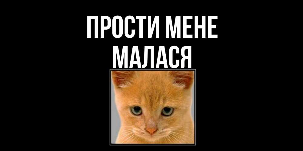 Открытка на каждый день з підписом, Малася Прости мене рыжий грустный кот просит прощения Прикольна листівка з побажанням онлайн скачати безкоштовно 