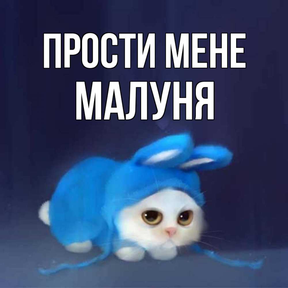 Открытка на каждый день з підписом, Малуня Прости мене невинный котозай просит прощения Прикольна листівка з побажанням онлайн скачати безкоштовно 