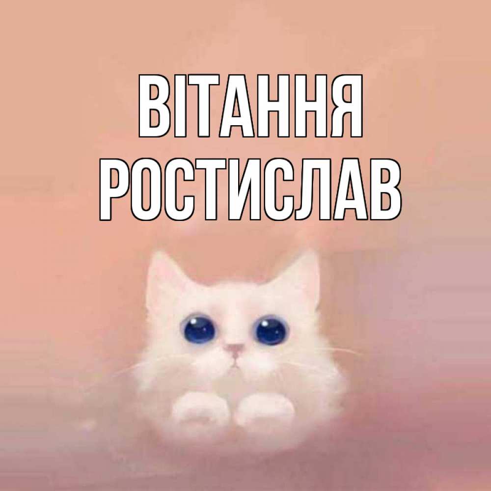 Открытка на каждый день з підписом, Ростислав Вітання котик белый в полете Прикольна листівка з побажанням онлайн скачати безкоштовно 