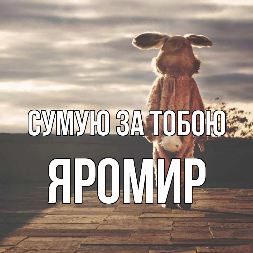 Открытка на каждый день з підписом, Яромир Сумую за тобою даже в костюме зайца Прикольна листівка з побажанням онлайн скачати безкоштовно 