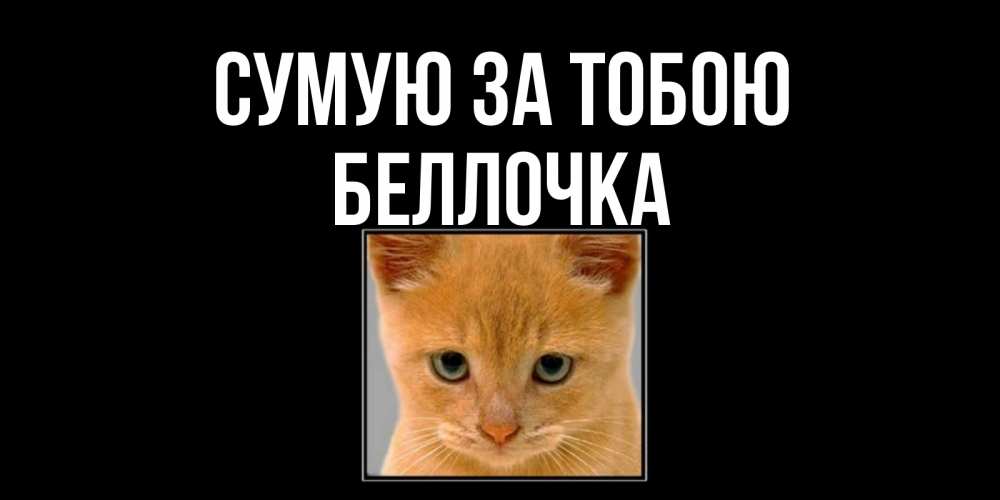 Открытка на каждый день з підписом, Беллочка Сумую за тобою открытки рыжий котенок скучает по тебе Прикольна листівка з побажанням онлайн скачати безкоштовно 