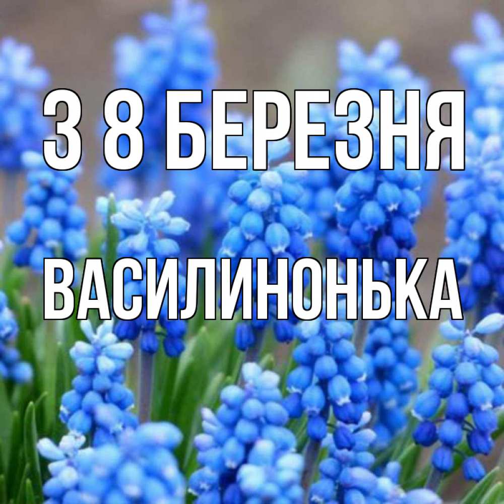 Открытка на каждый день з підписом, Василинонька З 8 БЕРЕЗНЯ Поздравительная открытка для женщин с цветами на праздничную дату Прикольна листівка з побажанням онлайн скачати безкоштовно 