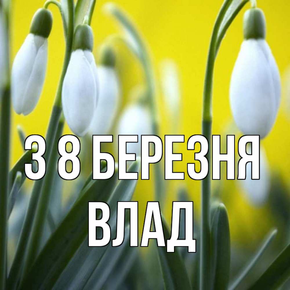 Открытка на каждый день з підписом, Влад З 8 БЕРЕЗНЯ весенние цветы Прикольна листівка з побажанням онлайн скачати безкоштовно 