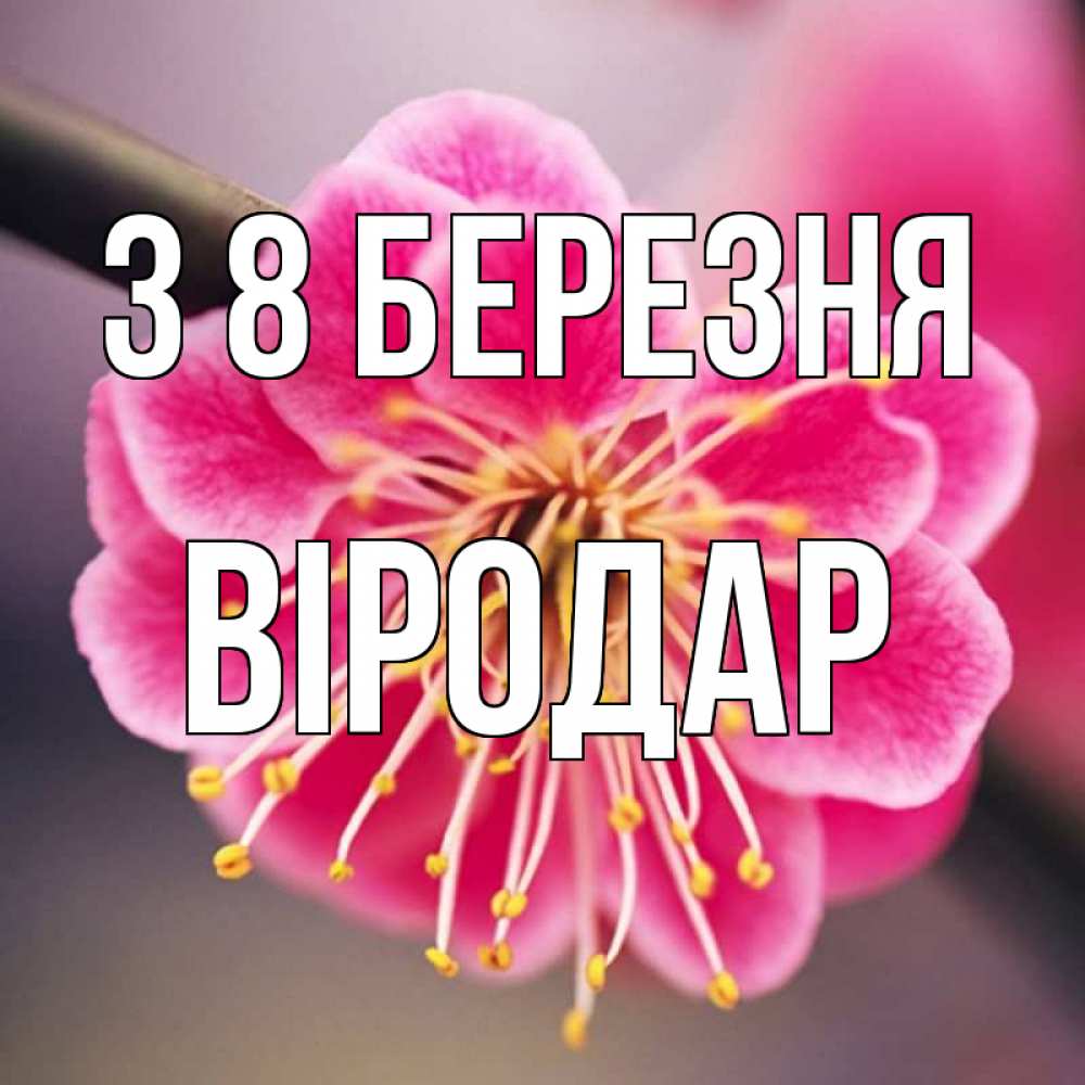 Открытка на каждый день з підписом, Віродар З 8 БЕРЕЗНЯ цветы Прикольна листівка з побажанням онлайн скачати безкоштовно 