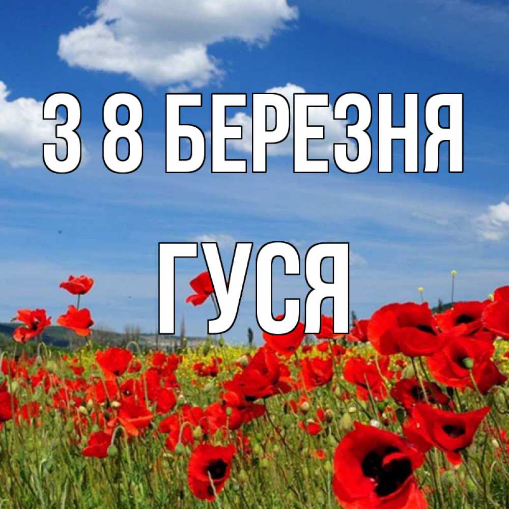 Открытка на каждый день з підписом, Гуся З 8 БЕРЕЗНЯ международный женский день 1 Прикольна листівка з побажанням онлайн скачати безкоштовно 
