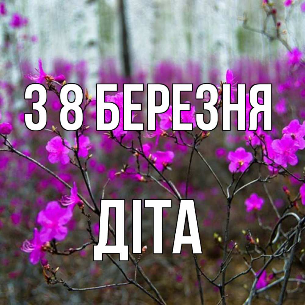 Открытка на каждый день з підписом, Діта З 8 БЕРЕЗНЯ дикие цветы Прикольна листівка з побажанням онлайн скачати безкоштовно 