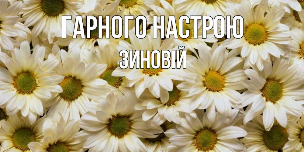Открытка на каждый день з підписом, Зиновій Гарного настрою крупные ромашки Прикольна листівка з побажанням онлайн скачати безкоштовно 