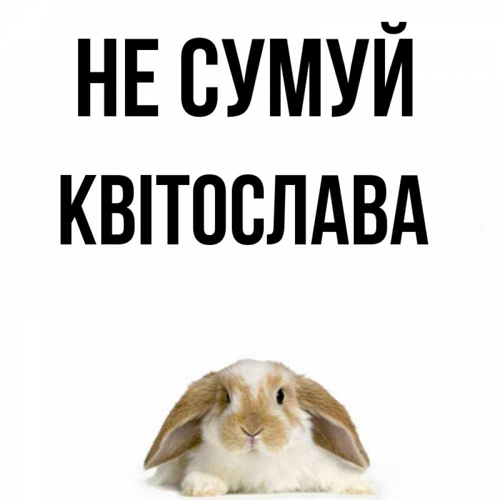 Открытка на каждый день з підписом, Квітослава Не сумуй коричнево белый заяц с большими ушками Прикольна листівка з побажанням онлайн скачати безкоштовно 
