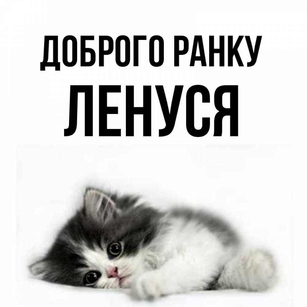 Открытка на каждый день з підписом, Ленуся Доброго ранку кот лапки Прикольна листівка з побажанням онлайн скачати безкоштовно 