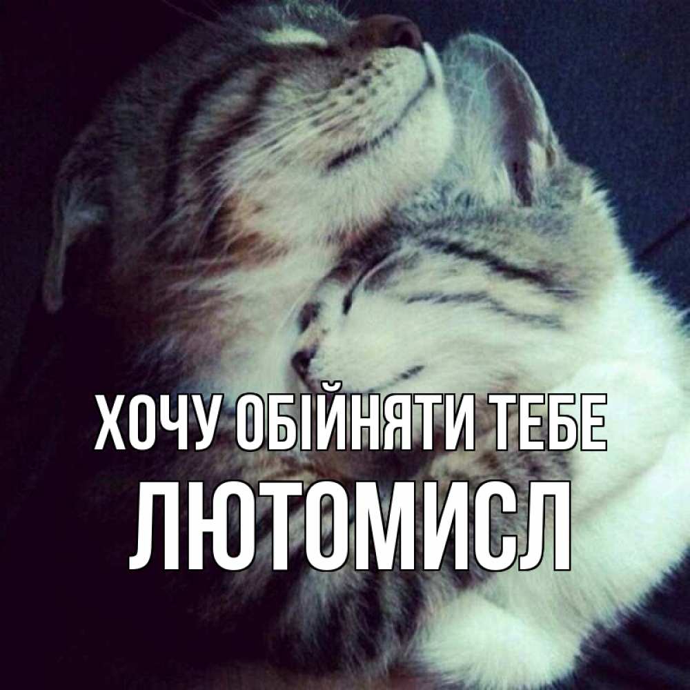 Открытка на каждый день з підписом, Лютомисл Хочу обійняти тебе полосатики Прикольна листівка з побажанням онлайн скачати безкоштовно 