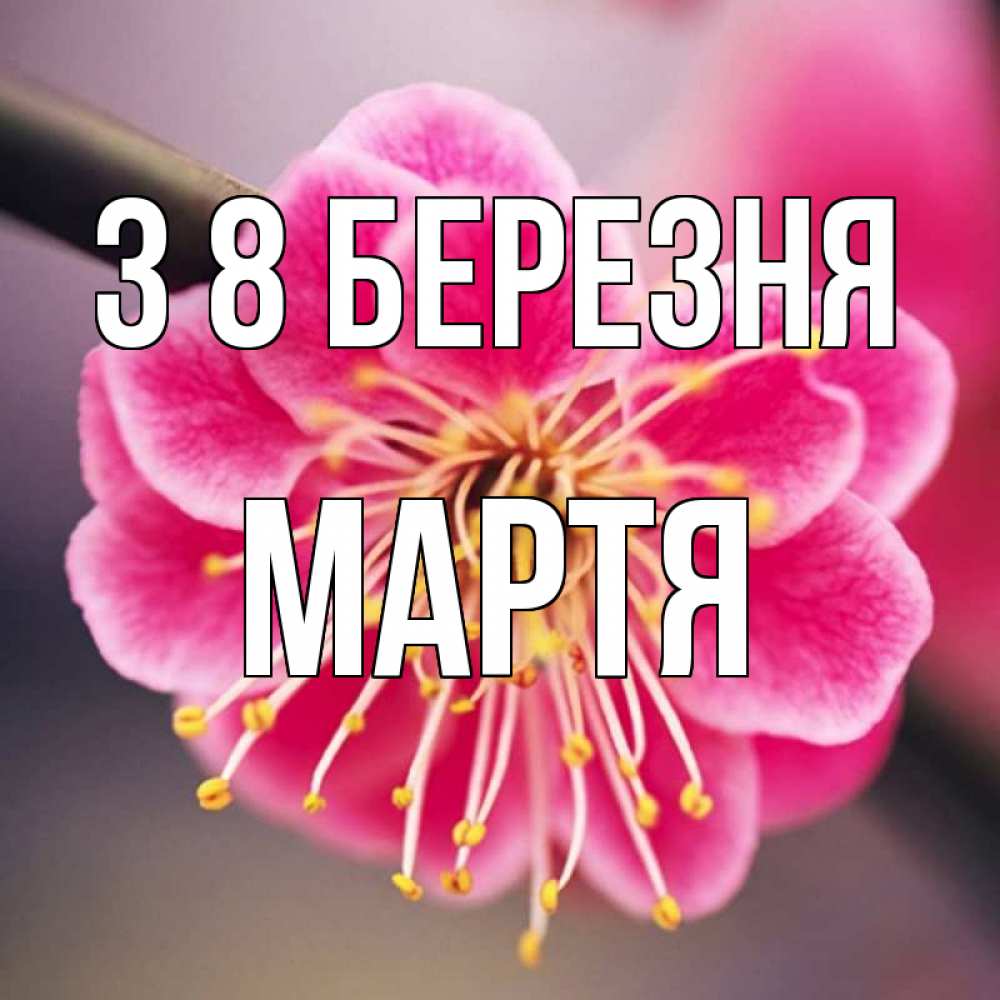 Открытка на каждый день з підписом, Мартя З 8 БЕРЕЗНЯ цветы Прикольна листівка з побажанням онлайн скачати безкоштовно 