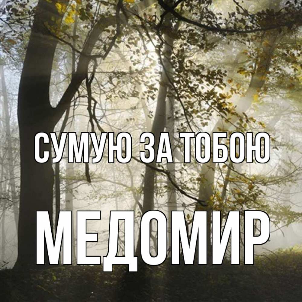 Открытка на каждый день з підписом, Медомир Сумую за тобою грустно Прикольна листівка з побажанням онлайн скачати безкоштовно 
