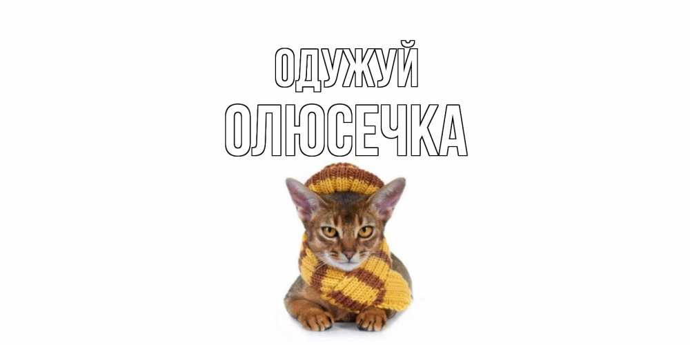 Открытка на каждый день з підписом, Олюсечка Одужуй родные не болейте Прикольна листівка з побажанням онлайн скачати безкоштовно 