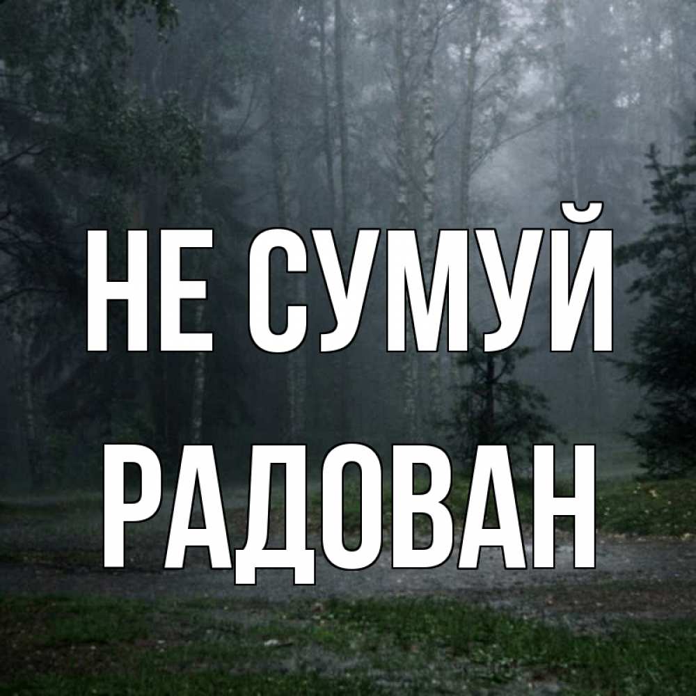 Открытка на каждый день з підписом, Радован Не сумуй осень Прикольна листівка з побажанням онлайн скачати безкоштовно 