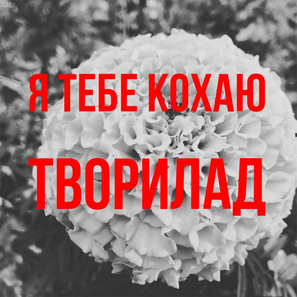 Открытка на каждый день з підписом, Творилад Я тебе кохаю подпись Прикольна листівка з побажанням онлайн скачати безкоштовно 