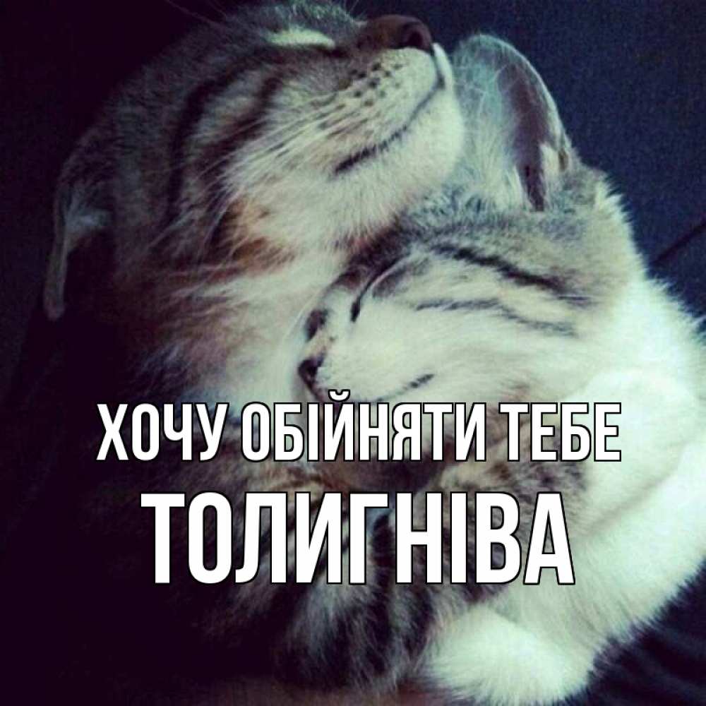 Открытка на каждый день з підписом, Толигніва Хочу обійняти тебе полосатики Прикольна листівка з побажанням онлайн скачати безкоштовно 