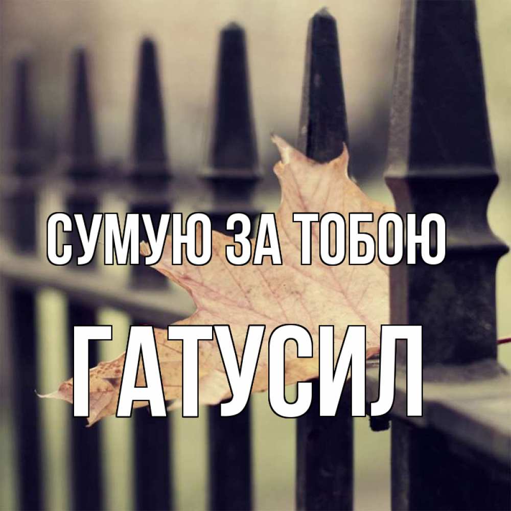 Открытка на каждый день з підписом, Гатусил Сумую за тобою очень скучно Прикольна листівка з побажанням онлайн скачати безкоштовно 