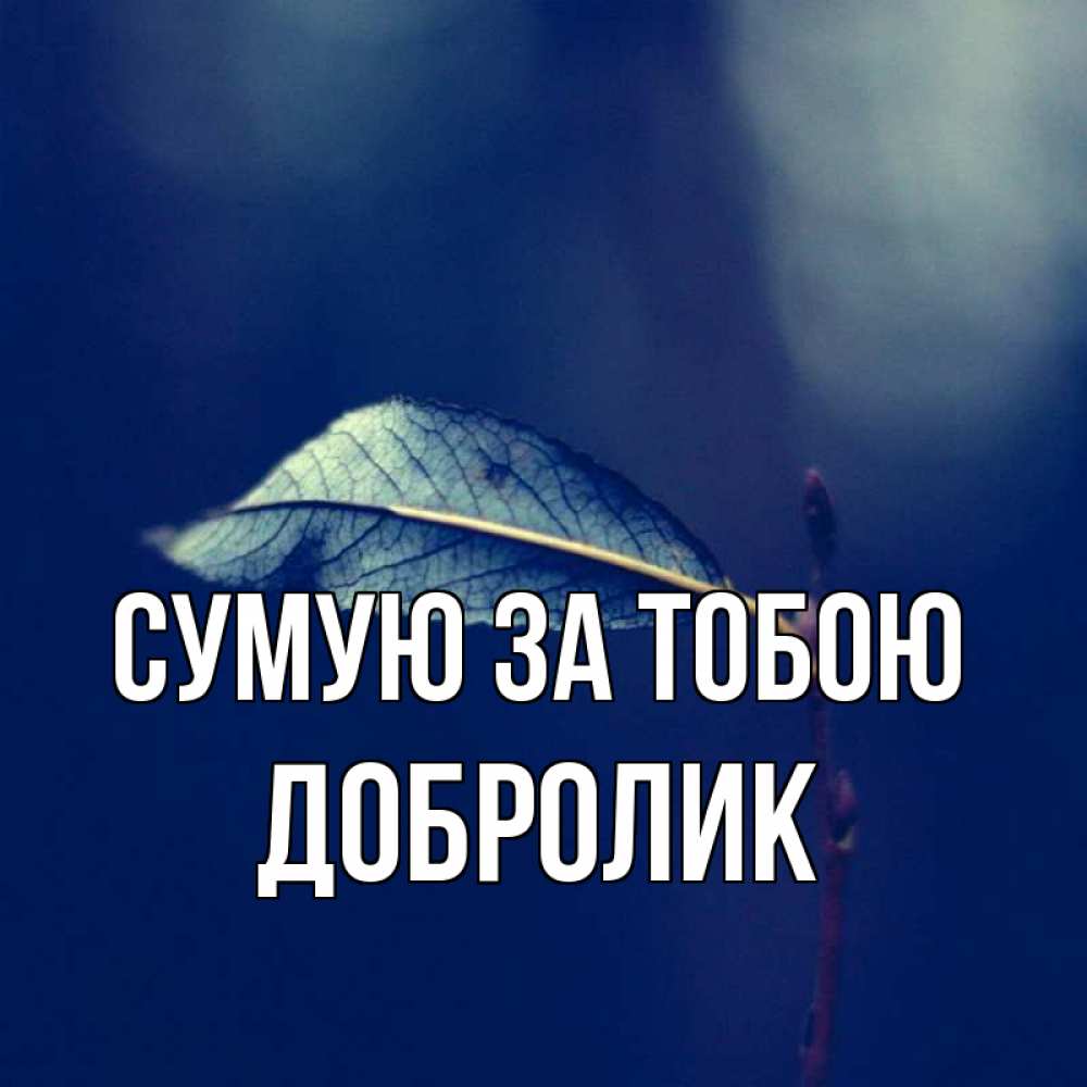 Открытка на каждый день з підписом, Добролик Сумую за тобою одна ветка 1 Прикольна листівка з побажанням онлайн скачати безкоштовно 