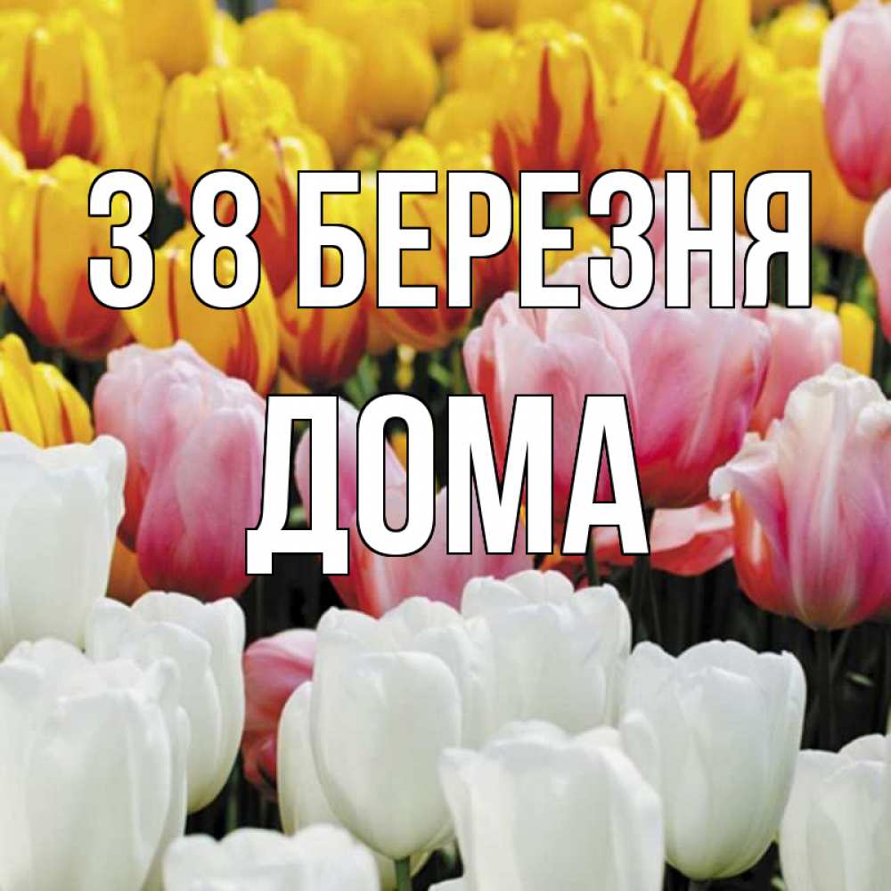 Открытка на каждый день з підписом, Дома З 8 БЕРЕЗНЯ разноцветные цветы Прикольна листівка з побажанням онлайн скачати безкоштовно 