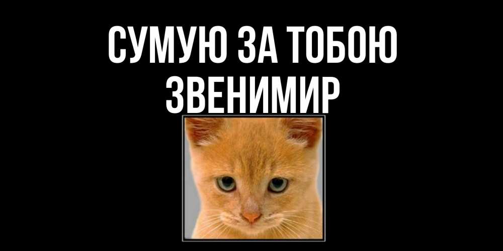 Открытка на каждый день з підписом, Звенимир Сумую за тобою открытки рыжий котенок скучает по тебе Прикольна листівка з побажанням онлайн скачати безкоштовно 