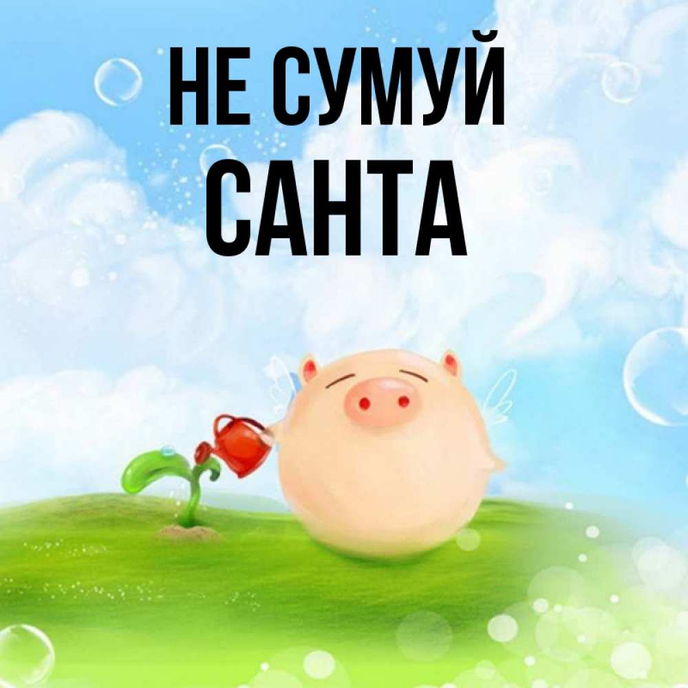 Открытка на каждый день з підписом, Санта Не сумуй поливает цветок порося Прикольна листівка з побажанням онлайн скачати безкоштовно 
