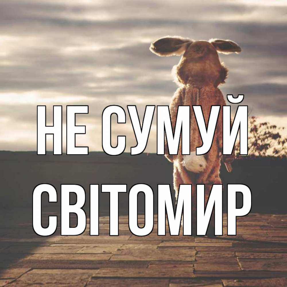 Открытка на каждый день з підписом, Світомир Не сумуй со спины Прикольна листівка з побажанням онлайн скачати безкоштовно 