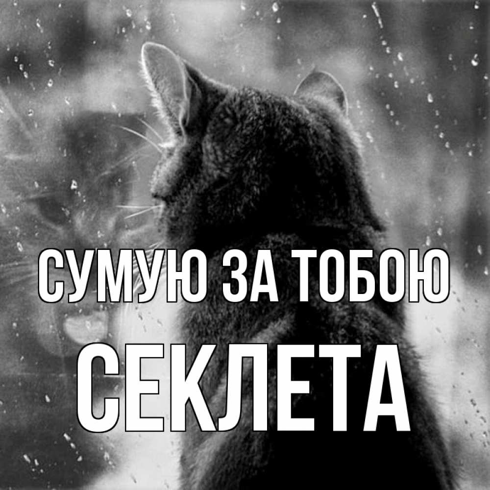 Открытка на каждый день з підписом, Секлета Сумую за тобою скорее ко мне приходи 1 Прикольна листівка з побажанням онлайн скачати безкоштовно 