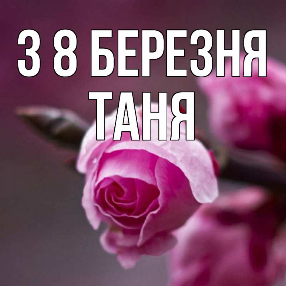 Открытка на каждый день з підписом, Таня З 8 БЕРЕЗНЯ весна Прикольна листівка з побажанням онлайн скачати безкоштовно 