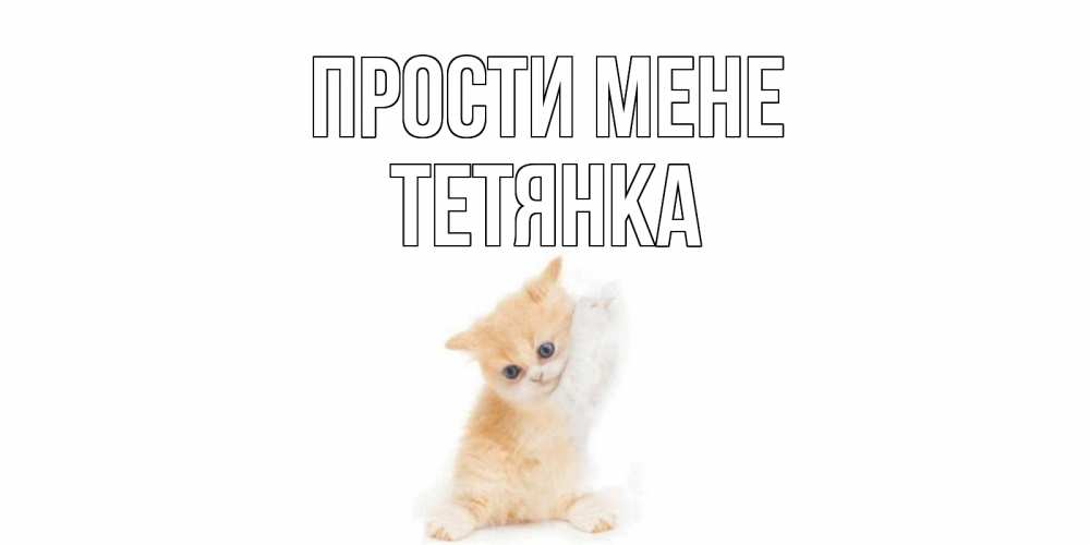 Открытка на каждый день з підписом, Тетянка Прости мене кот Прикольна листівка з побажанням онлайн скачати безкоштовно 