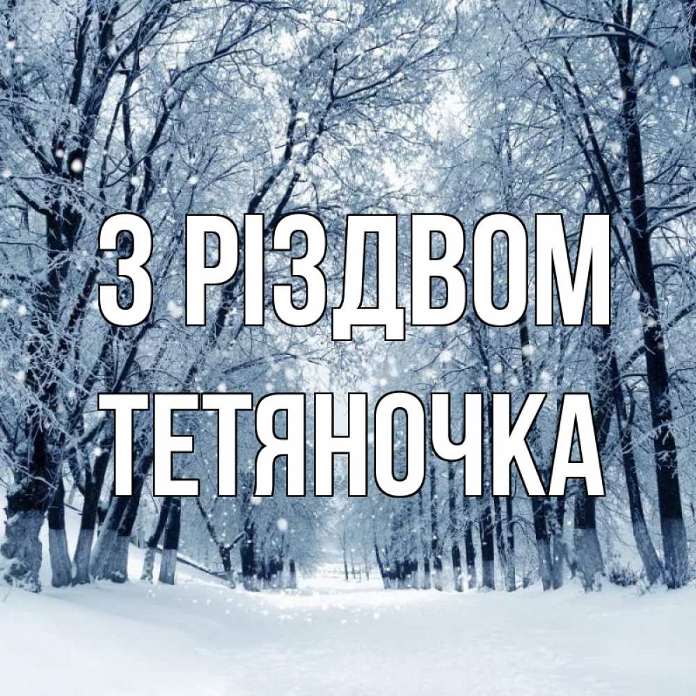 Открытка на каждый день з підписом, Тетяночка З Різдвом снег, лес, парк Прикольна листівка з побажанням онлайн скачати безкоштовно 