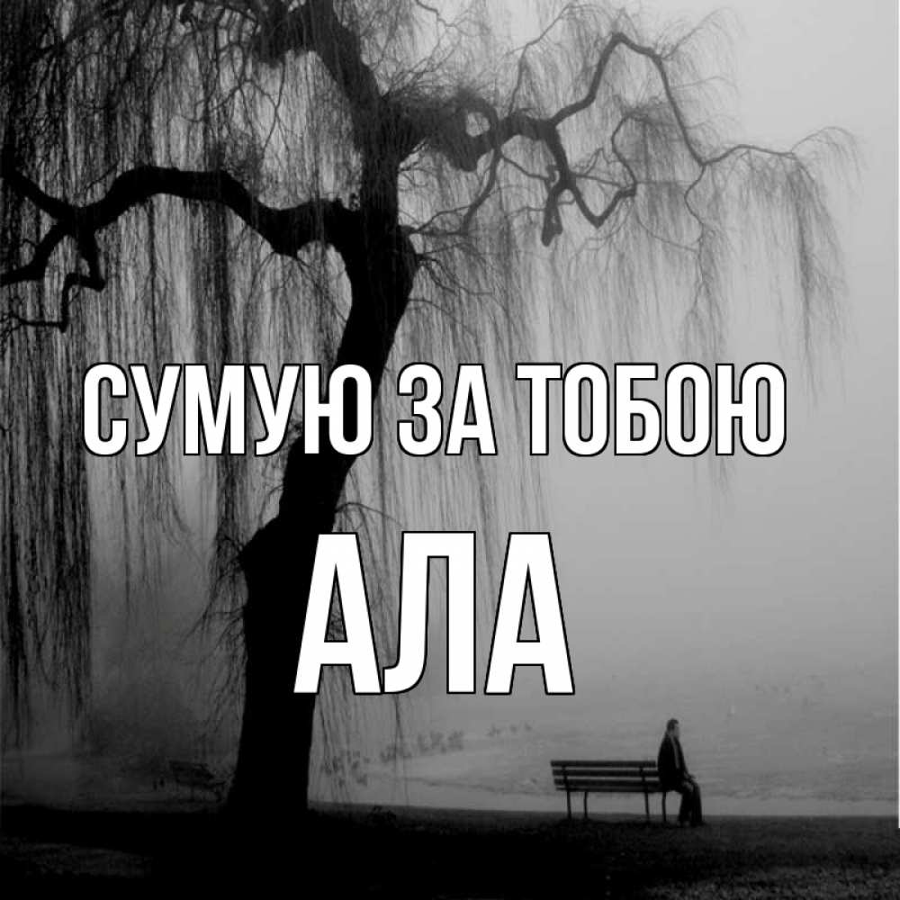 Открытка на каждый день з підписом, Ала Сумую за тобою лавочка под деревом я жду тебя Прикольна листівка з побажанням онлайн скачати безкоштовно 