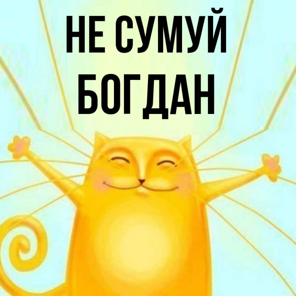 Открытка на каждый день з підписом, Богдан Не сумуй обнимашки усатые Прикольна листівка з побажанням онлайн скачати безкоштовно 