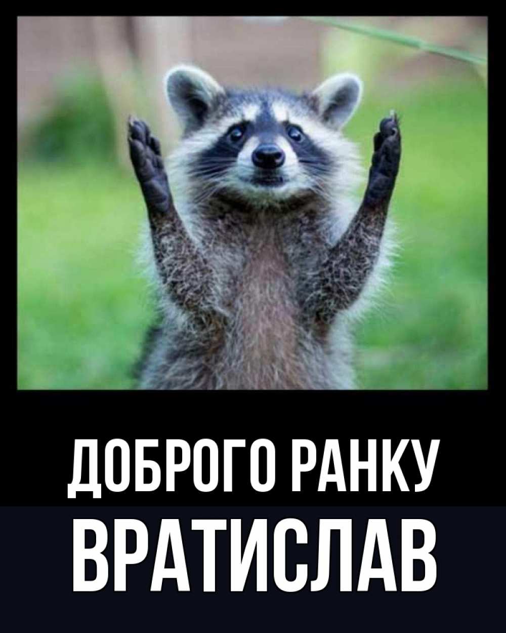 Открытка на каждый день з підписом, Вратислав Доброго ранку хорошее настроение утречком Прикольна листівка з побажанням онлайн скачати безкоштовно 